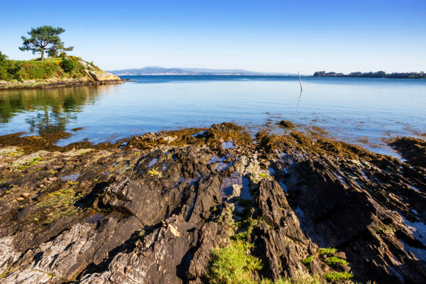 istock Neixon cape in Arousa estuary 1150598840