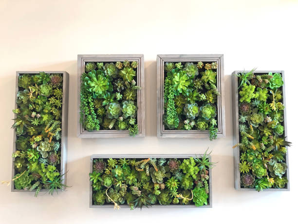 vertical garden