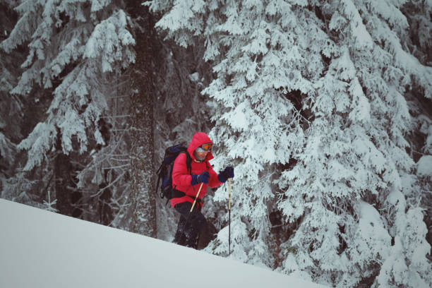istock Hiker makes his way on snowy slope in snow-covered forest 1150606385