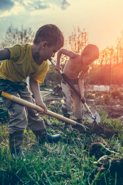 istock Children gardening 1150608878