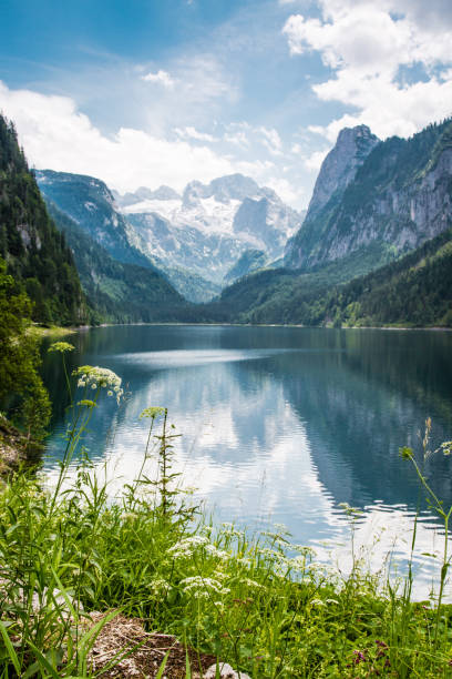istock Gosausee with dachstein view - European Alps 1150610289