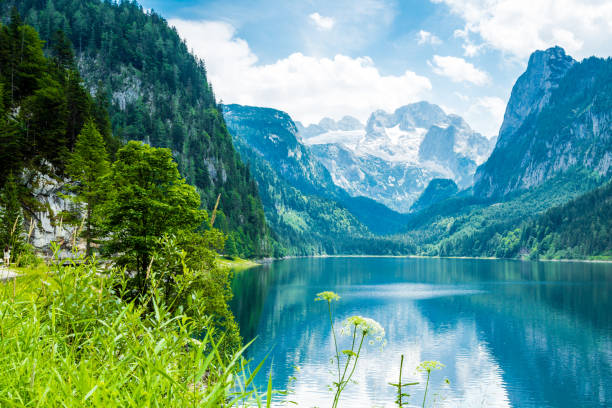 istock Gosausee with dachstein view - European Alps 1150610297