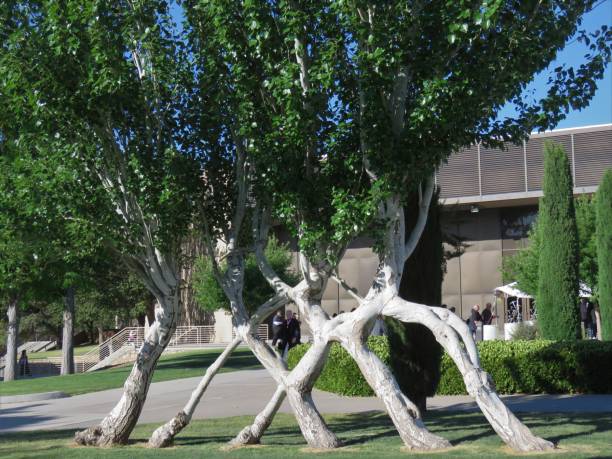 El Paso, Texas, USA – May 17, 2019: The University of Texas at El Paso (UTEP), founded in 1914, is a four-year university. It offers 170 bachelor’s, master’s and doctoral degree programs in 10 colleges and schools.