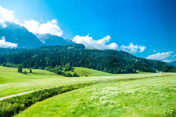 Agricultural Field, Landscape - Scenery, Blue, Sky, City