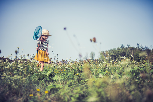 Little girl chasing butterflies in a rural uncultivated field