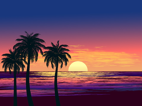 tropical sunset illustration with three palm trees at beach