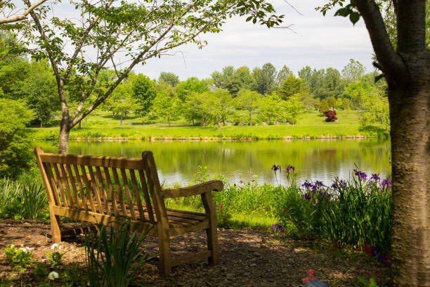 Park bench by the lake