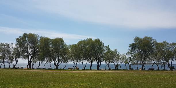 istock picturesque coastline in Athens Greece 1150621696