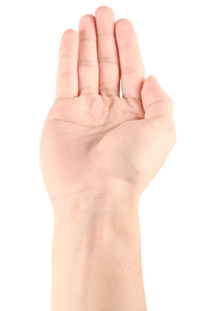 istock Hand open and ready to help or receive. Gesture isolated on white background with clipping path. 1150623036