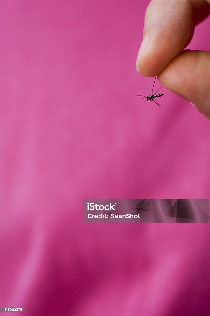 mosquito - Royalty-free Dedo Indicador Foto de stock