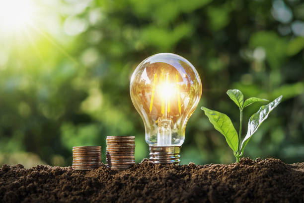 istock plant with light bulb and money stack growing on soil with sunshine. concept saving 1150625983