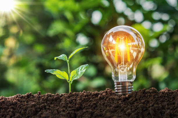 istock lightbulb with small tree on soil in nature and sunshine. concept saving 1150625988