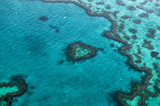 istock The heart reef, Airlie Beach, Queensland 1150630118
