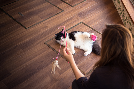 A woman is calmly using cat toys to play with a a black and white cat, which lazily lies on the floor of a cat cafe in Tokyo, Japan.