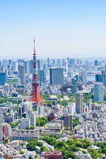istock Tokyo city skyline , Japan 1150634634