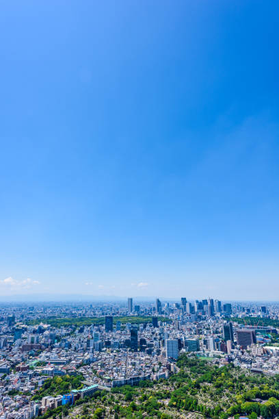 istock Tokyo city skyline , Japan 1150634653