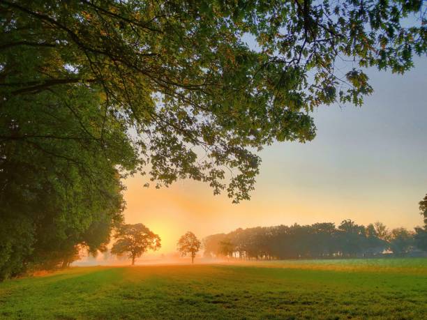 istock Golden fog 1150634771