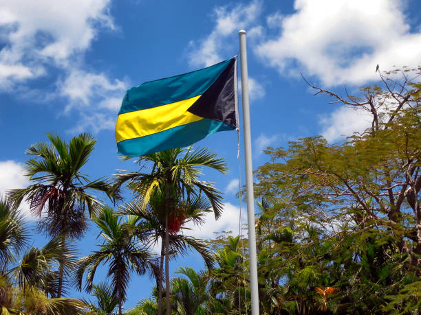 Bahamas Flag with Palm Trees