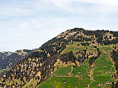 blick-auf-die-nadelw%C3%A4lder-und-weiden-an-den-h%C3%A4ngen-des-rigi-berges.jpg?b=1&s=170x170&k=20&c=433VLQZj7HeiNPVRLEzDZXBUACweREqKimXJOnGKZmc=