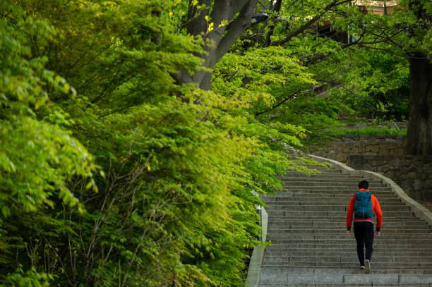 Backpacker is enjoying weekend in nature hiking in Seoul Korea.