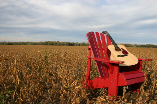red, adirondack chair in soybean field with guitar