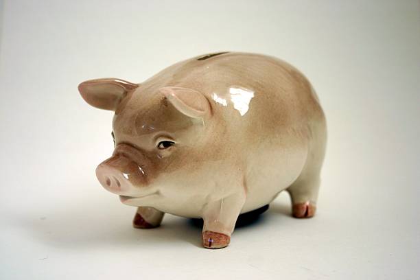 istock piggy bank 115064828