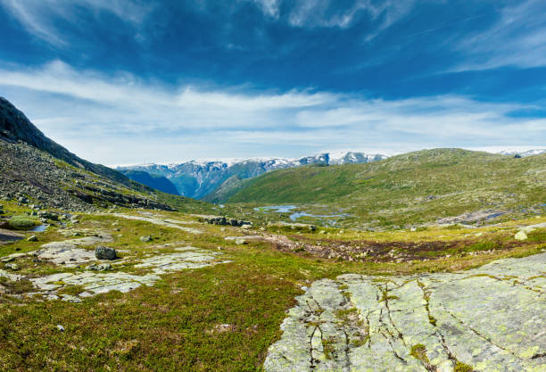 istock Summer highlands plateau, Norway 1150654964