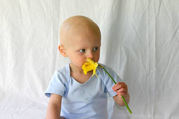 A little baby with cancer holding a daffodil stock photo