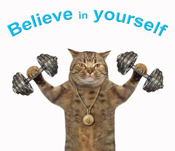 istock Cat athlete lifts dumbbells 2 1150656156