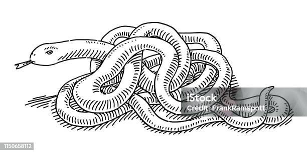 Intertwined Snake Drawing Stock Illustration - Download Image Now - Snake, Sketch, Drawing - Art Product