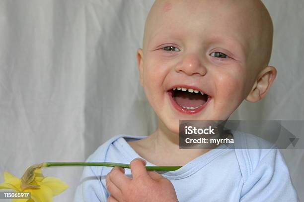 Cancro Bambini Bambino Ridere Con Narciso - Fotografie stock e altre immagini di Bebé - Bebé, Completamente calvo, Composizione orizzontale