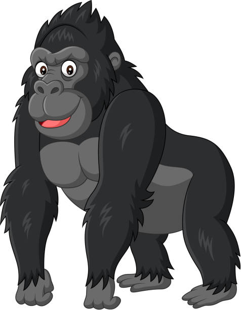 ilustraciones, imágenes clip art, dibujos animados e iconos de stock de caricatura divertido gorila sobre fondo blanco - gorilla endangered species large isolated