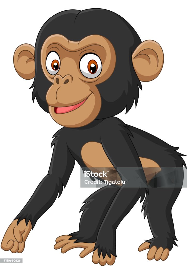 Cute Baby Chimpanzee Cartoon On White Background Stock Illustration -  Download Image Now - Chimpanzee, Ape, Animal - iStock