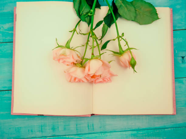 istock Pink rose flower on the book , Valentines day concept 1150660989