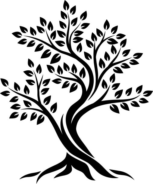 sylwetka drzewa na białym tle - autumn tree root forest stock illustrations