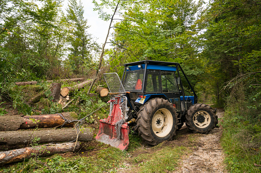 Tractor ready for towing logs from the forest along the forest path to the assembly site.