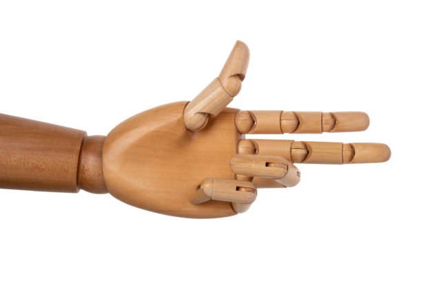istock Wooden hand isolated on a white background 1150661488