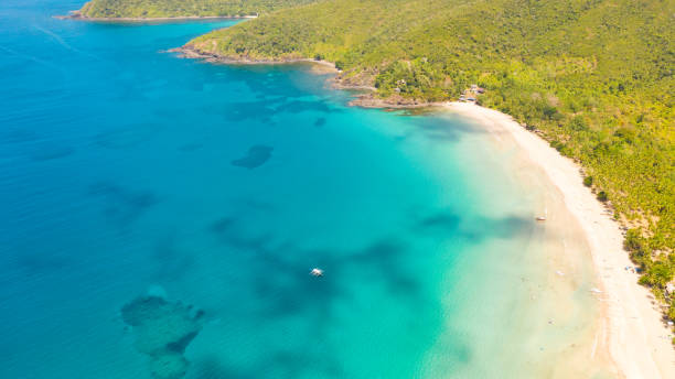 istock White sandy beach with palm trees and a beautiful lagoon 1150661523
