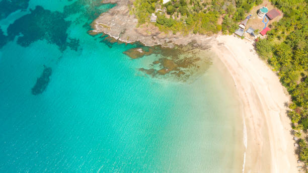 istock White sandy beach with palm trees and a beautiful lagoon 1150661629