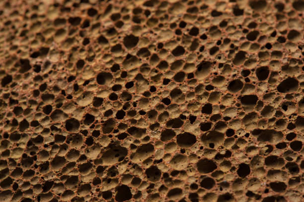 istock Closeup rock erosion holes sea wall. 1150663092