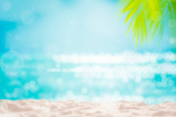 istock Summer background tropical palm leaves on nature yellow background 1150666066