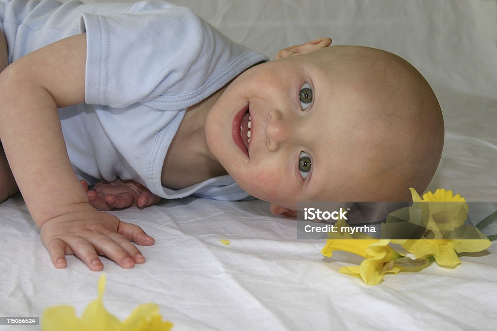 Cancer Kids; happy baby infant, bald from chemotherapy, smiles amidst daffodils Cancer - Illness Stock Photo
