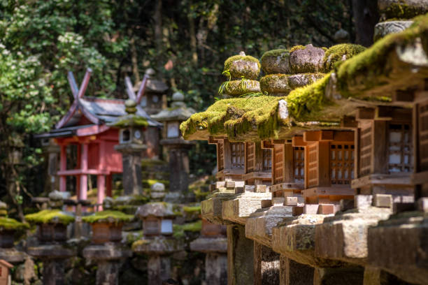 lampes en pierre au sanctuaire de kasuga taisha, parc de nara, japon - préfecture de nara photos et images de collection