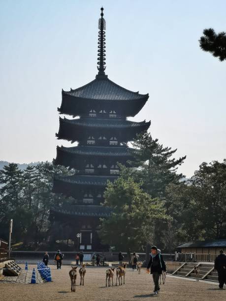 奈良公園的五重塔。日本 - 興福寺 奈良 個照片及圖片檔