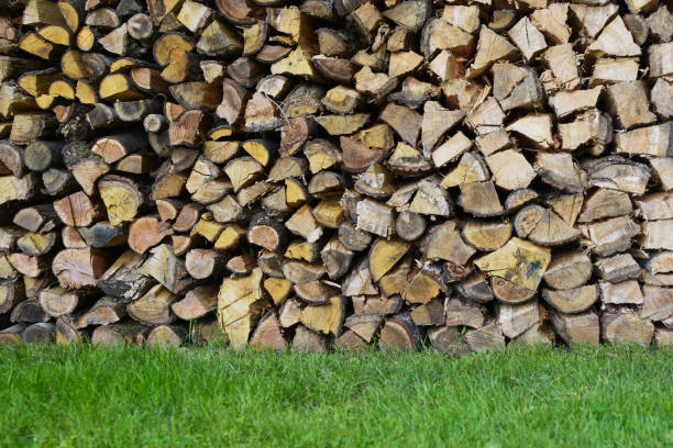 istock Pile of wood 1150669111
