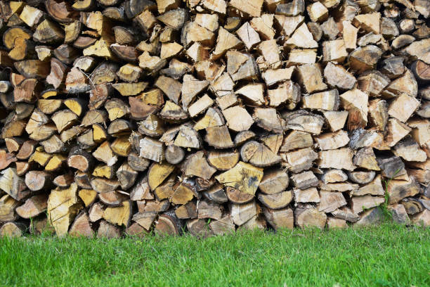 istock Pile of wood 1150669530