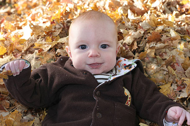 istock Autumn Baby in Leaves 115066960