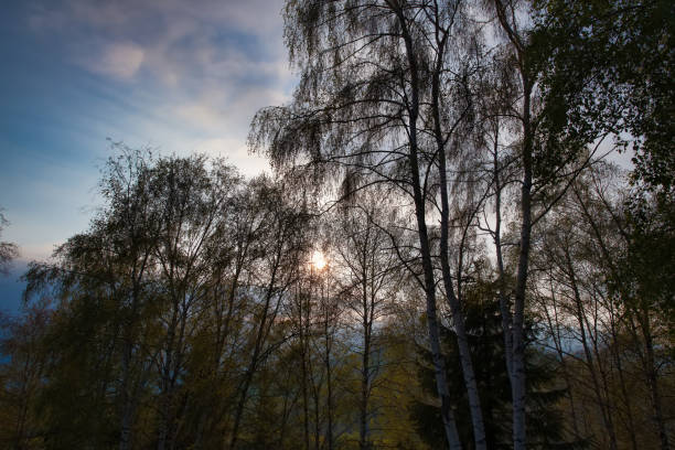 Scenery of Hemu Village, Xinjiang, China