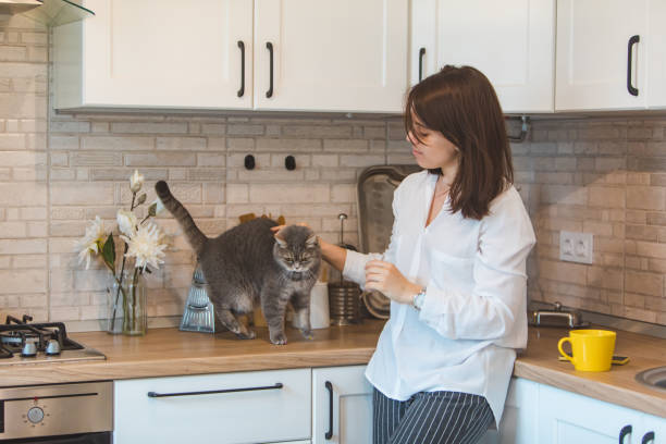 istock woman pet the cat and drinking tea at the kitchen 1150672847