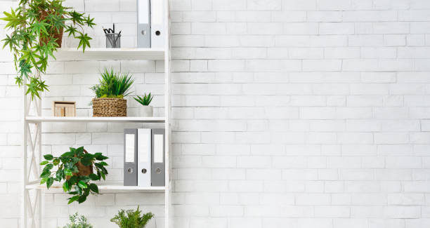 Office bookcase with plants and folders over wall Office bookcase with plants and folders over white wall, empty space empty bookshelf stock pictures, royalty-free photos & images